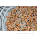 Good Quality Blue Mussel Meat Without Shell